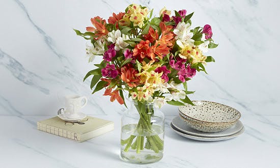 Types of Flowers