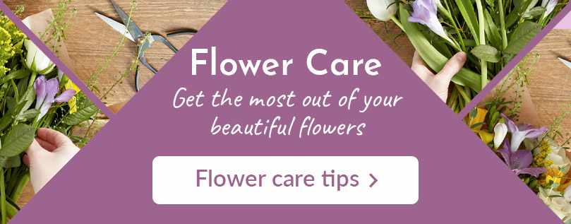 Flower Care